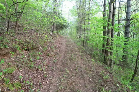 38 Garnet Rd, Sylva, SC 29779 photo 3