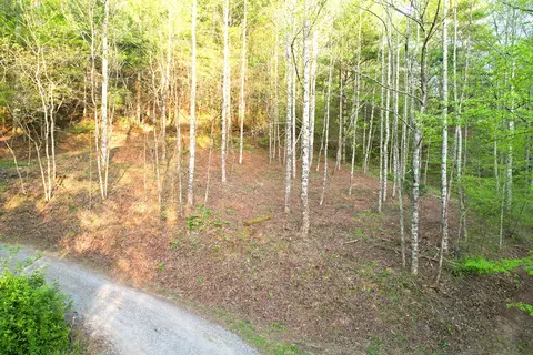 38 Garnet Rd, Sylva, SC 29779 photo 10