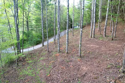 38 Garnet Rd, Sylva, SC 29779 photo 19