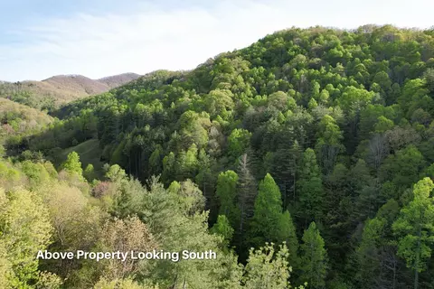 38 Garnet Rd, Sylva, SC 29779 photo 31