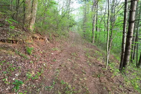 38 Garnet Rd, Sylva, SC 29779 photo 13