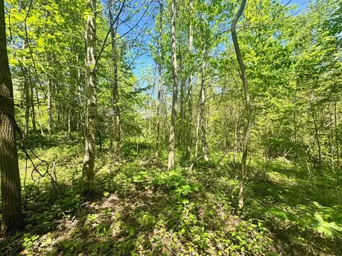lot14 Walnut Cove Rdg, Bryson City, NC 28713