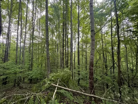 18 Chimney Ridge Road, Topton, NC 28781