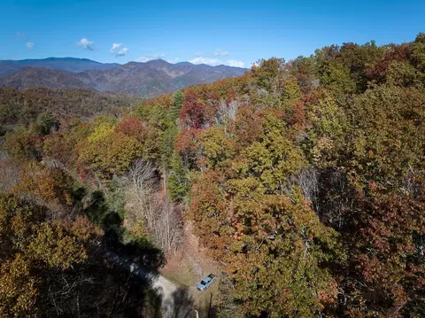 00 Black Frst, Bryson City, NC 28713