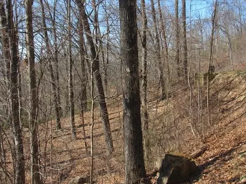 lot107 Wildflower, Franklin, NC 28734