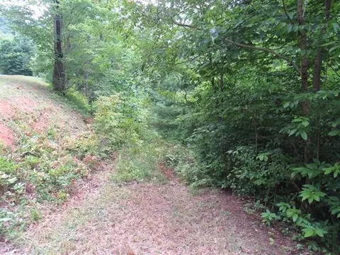 lot23 Elkhorn Rdg, Franklin, NC 28734