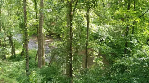 101 Timber Wolf Trl, Cullowhee, NC 28723 photo 51