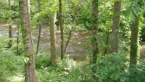 101 Timber Wolf Trl, Cullowhee, NC 28723 photo 41