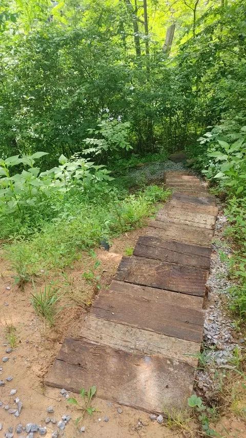 101 Timber Wolf Trl, Cullowhee, NC 28723 photo 40