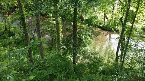 101 Timber Wolf Trl, Cullowhee, NC 28723 photo 3