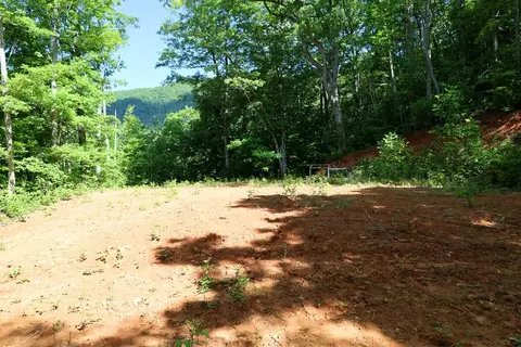 Tr 10 Big Oak Springs Rd, Sylva, NC 28779