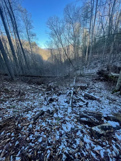 37 Enchanted Forest Drive, Sylva, NC 28779