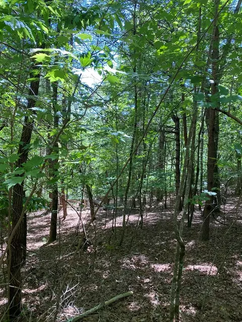 00 Ruby Cir, Franklin, NC 28734