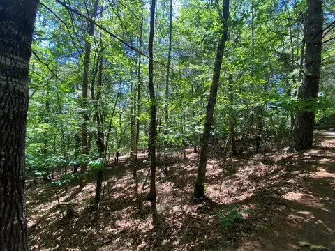 00 Ruby Cir, Franklin, NC 28734 photo 5