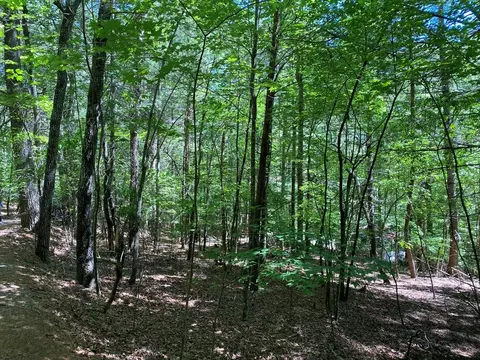 00 Ruby Cir, Franklin, NC 28734 photo 6