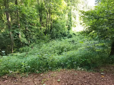 lot S 16 Town Mountain Dr, Franklin, NC 28734