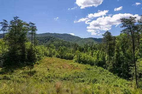 1555 Camp Crk, Qualla, NC 28789