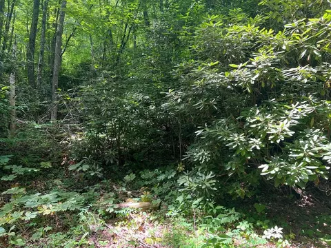 0 Timoshaw Trl, Cullowhee, NC 28723