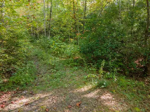 79 Midway Dr, Sylva, NC 28779 photo 5