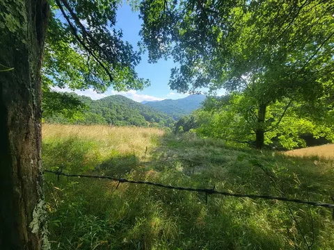 250 Lumberton Rdg, Waynesville, NC 28785