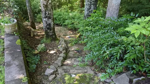 Exterior - 1762 Garnet Ridge Rd, Sylva, NC 28779 photo 13 of 15