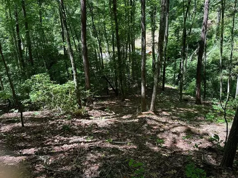 15 Bailey Avenue, Bryson City, NC 28713