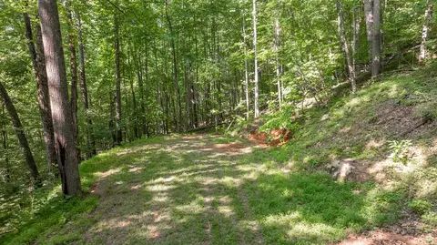 00 Scutter Ln, Franklin, NC 28734 photo 11