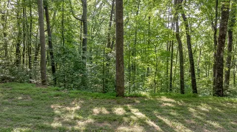 00 Scutter Ln, Franklin, NC 28734 photo 13