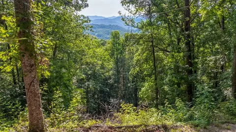 00 Scutter Ln, Franklin, NC 28734 photo 15