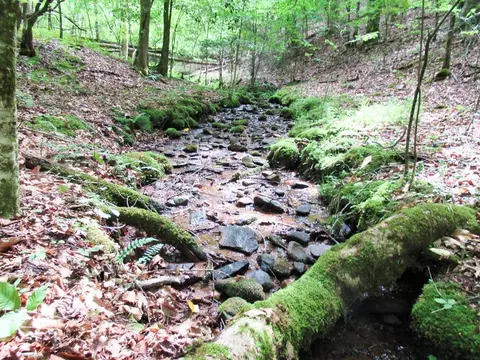 00 Reserve Rd, Franklin, NC 28734