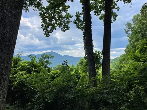 217 Twilight Ln, Sylva, NC 28779 photo 2