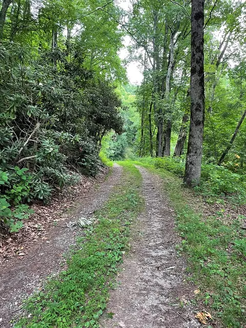217 Twilight Ln, Sylva, NC 28779 photo 4