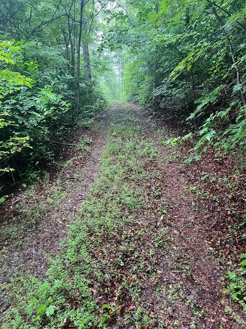 lot55 Highlands Pass, Franklin, NC 28734