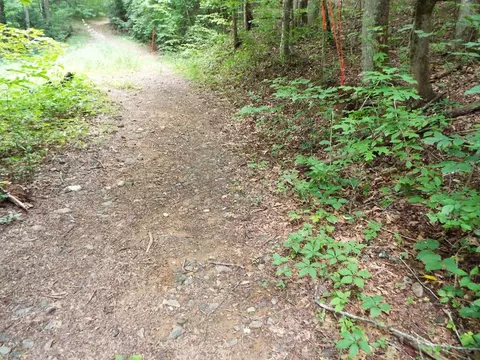 000 Levi Mathis Rd, Whittier, NC 28789