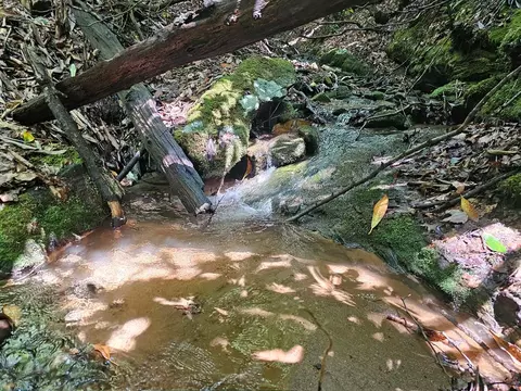 1400 W Dills Creek Rd, Franklin, NC 28734