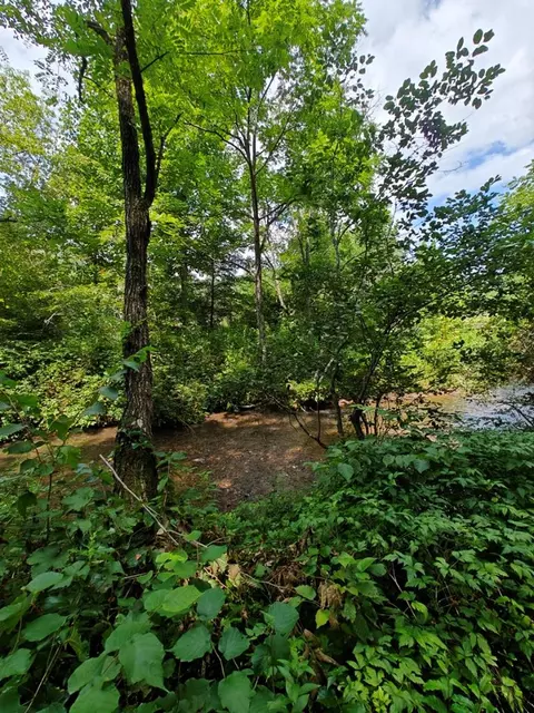 Other - 110 Glenn Cabe Rd, Sylva, NC 28779 photo 19 of 19