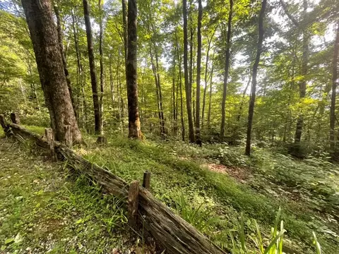 00 Von Trapp, Tuckasegee, NC 28783