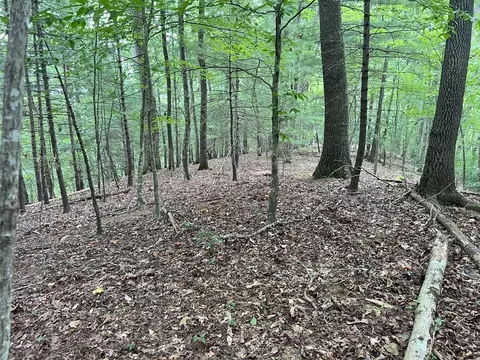 250 Lakes Estate Rd, Franklin, NC 28734