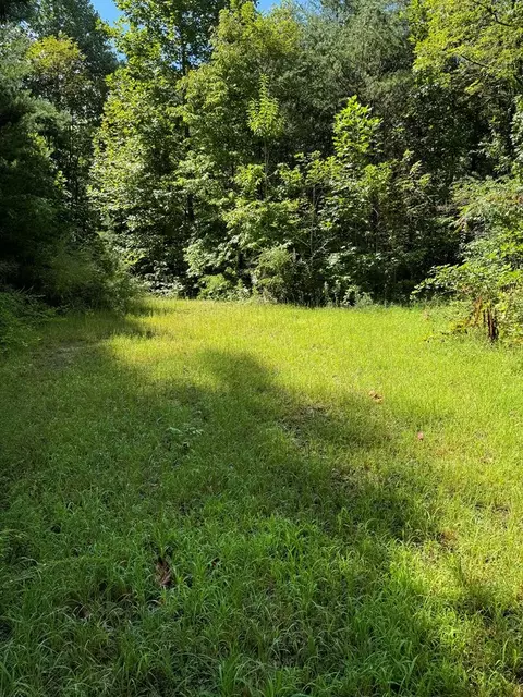 0 Green Burch Dr, Bryson City, NC 28713