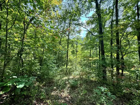 lot34 Black Walnut St, Bryson City, NC 28713