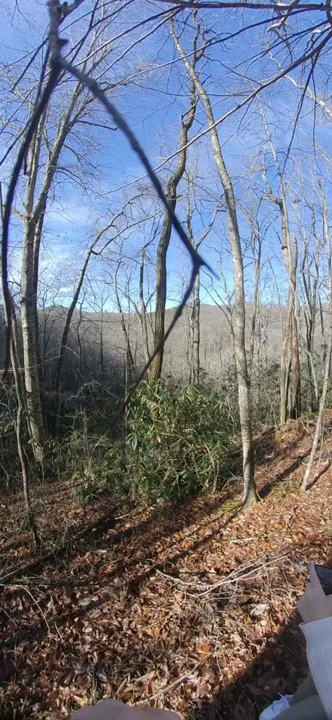 lot33 Manna Way, Cullowhee, NC 28779