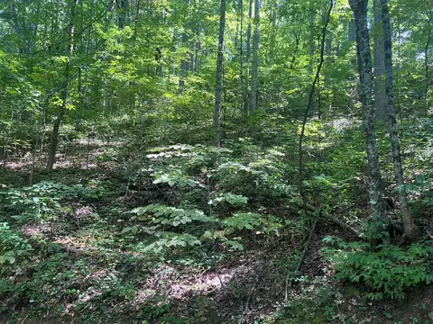 lot334 High Ridge Rd Section 10, Franklin, NC 28734