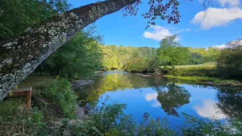 00 Rivermist Ln, Franklin, NC 28734
