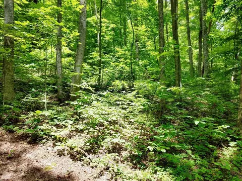 lot102 Mountain Vis, Bryson City, NC 28713