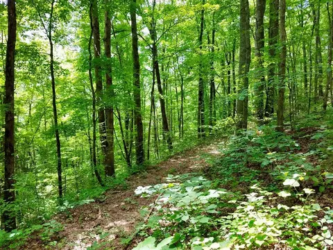 lot103 Mountain Vis, Bryson City, NC 28713