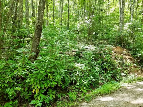 lot105 Mountain Vis, Bryson City, NC 28713