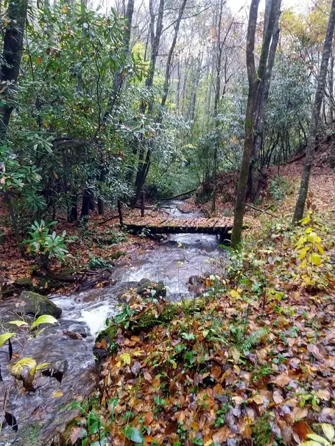 lot186 Butterfly Cv, Franklin, NC 28734