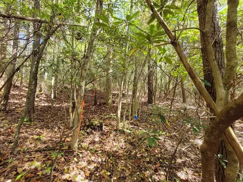 0 Kent Dr, Highlands, NC 28741