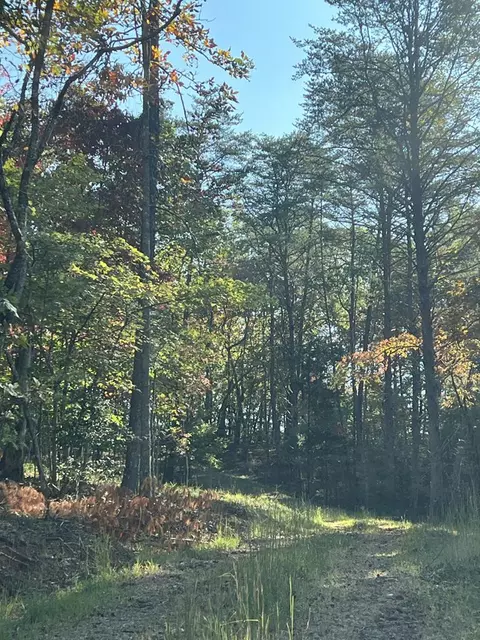 00 Sanderstown Rd, Franklin, NC 28734