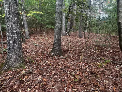 tbd John Taylor Rd, Murphy, NC 28906 photo 8